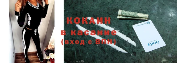 ECSTASY Алзамай