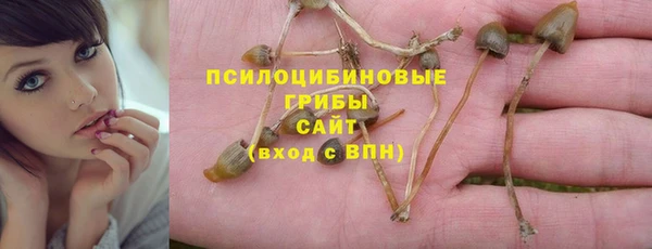 ECSTASY Алзамай