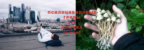 гашик Алексеевка
